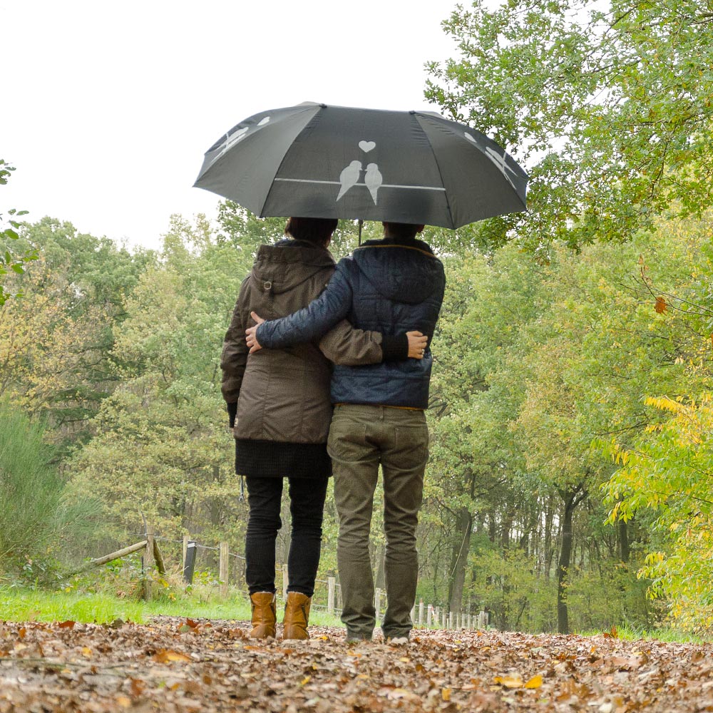 Parapluie Duo avec silhouettes d'oiseaux