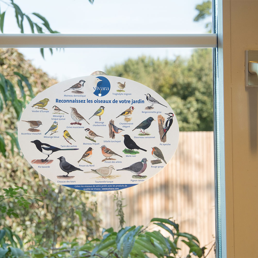 Poster pour fenêtre oiseaux du jardin