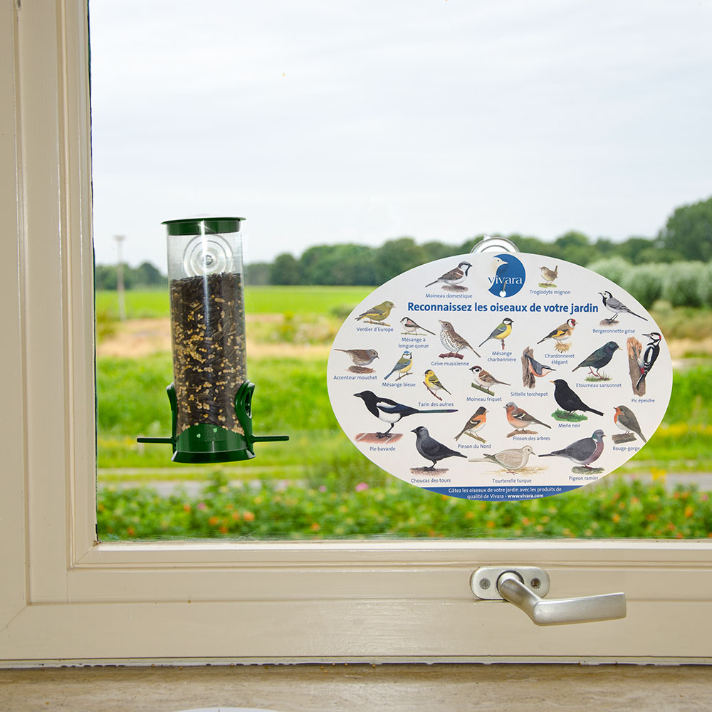 Mon premier kit pour nourrir les oiseaux
