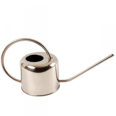 Arrosoir d'intérieur en Inox 1 litre