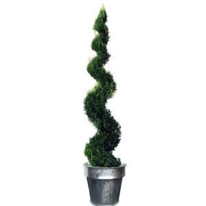 Bac ? plantes Horticole Zinc - ?45 cm