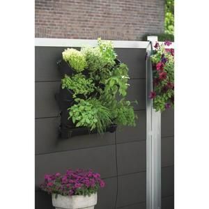 NATURE Kit potager vertical en acier 60xH60cm - Noir