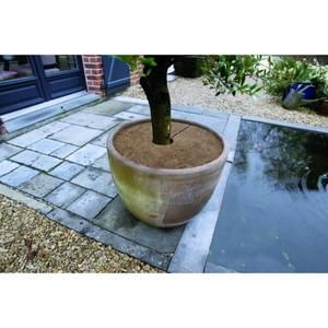 NATURE Disque de plantation en coco ?30 cm