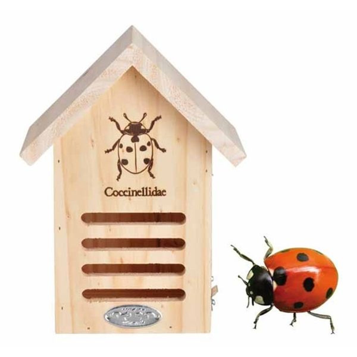 Abri Coccinelles