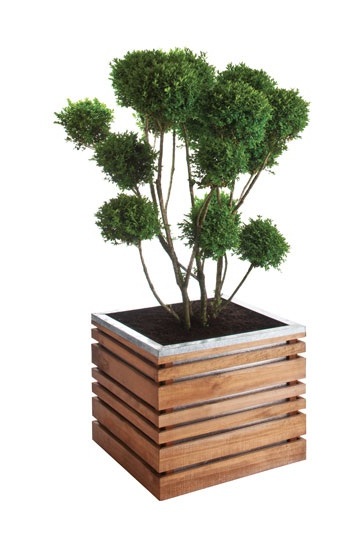 Bac à fleurs en bois carré LignZ 60 - BURGER JARDIPOLYS Bac à fleurs en bois carré LignZ 60 - BURGER JARDIPOLYS