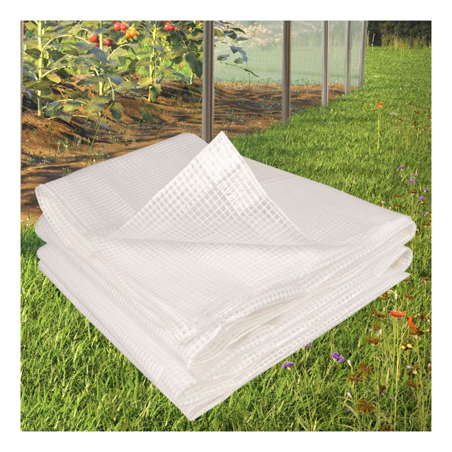 Bâche Armée transparente 6x10m renforcée - PROBACHE