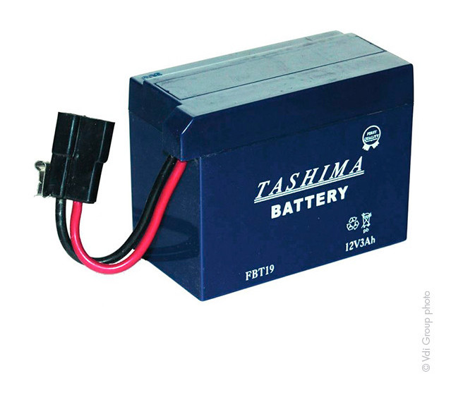 Batterie motoculture FBT19 12V 3Ah - TASHIMA