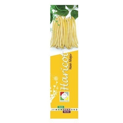 Boite de Graines d'Haricots Beurre Nain Bio Major