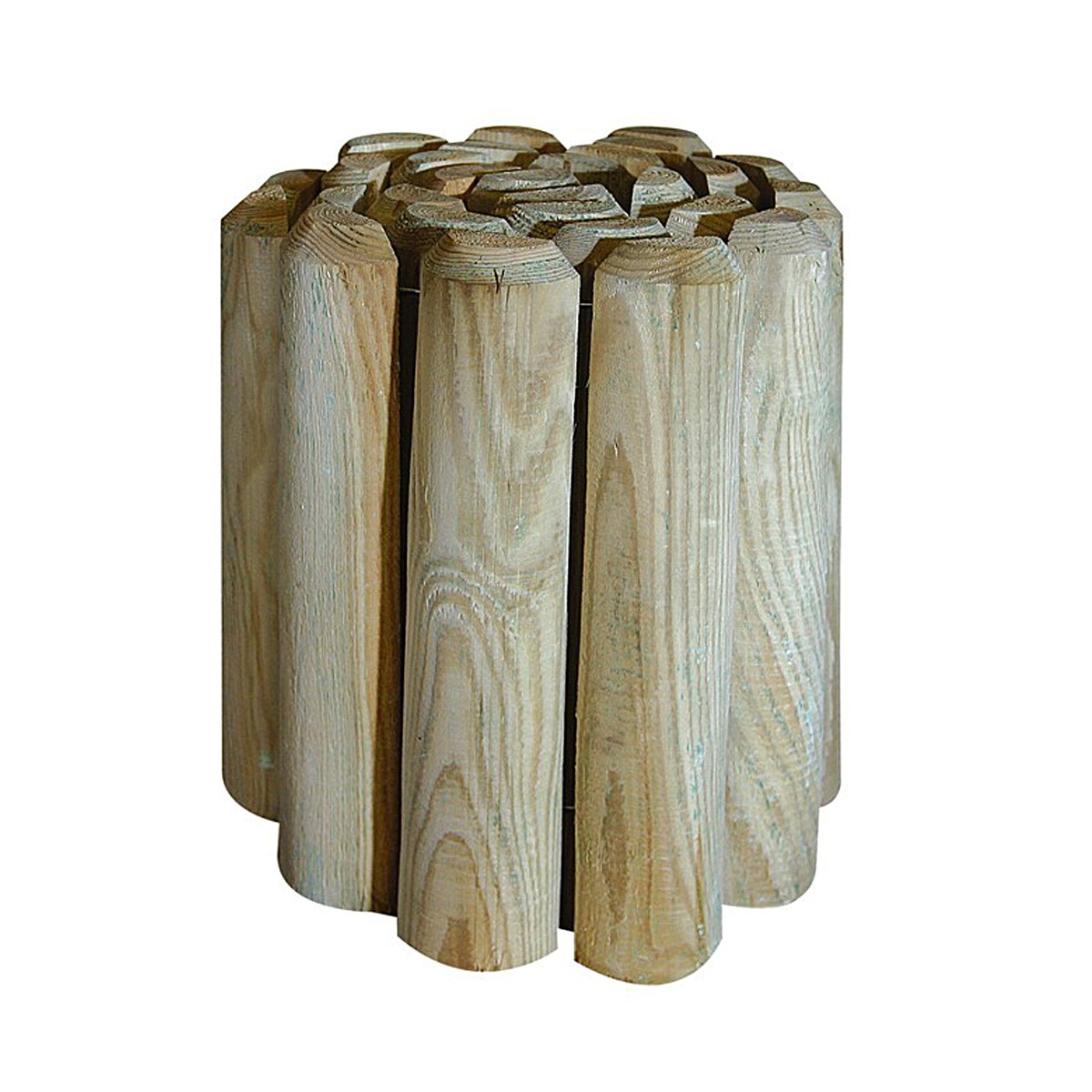 Bordure Salvia diam 5 - 180 x 20