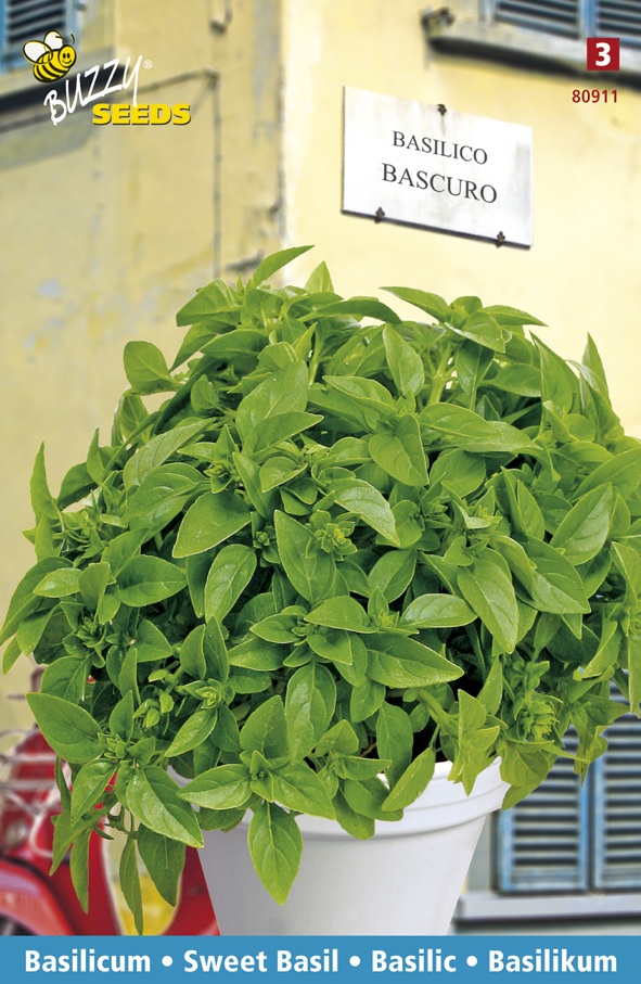 Basil Bascuro