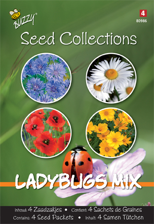Collection 4 en 1 MÃ©lange Coccinelles