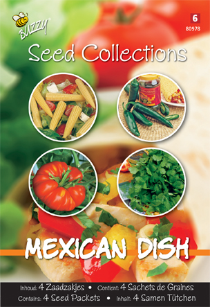 Collection 4 en 1 Repas mexicain