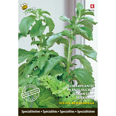 SpÃ©cialitÃ©s de semences StÃ©via â" Plante de Sucre