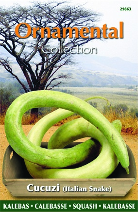 Ornemental - Calebasse Cucuzi (Italian Snake)