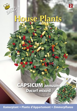 Plante d'Appartement Capsicum Annuum Dwarf Mixed