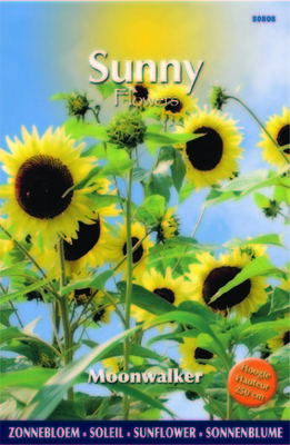 Soleil-Tournesol - Moonwalker