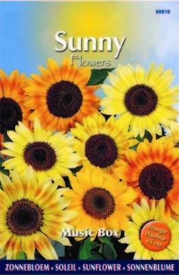 Soleil-Tournesol - Music Box