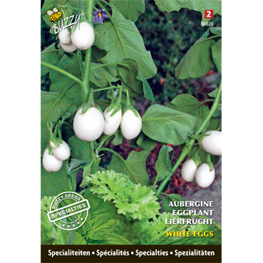 SpÃ©cialitÃ©s de semences Aubergine Blanche Ronde A Oeuf