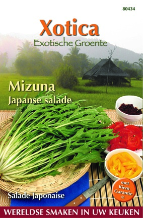 Xotica - Mizuna ou salade japonaise