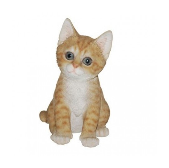 CHATON ASSIS ROUPAR 20CM - RIVIERA CHATON ASSIS ROUPAR 20CM - RIVIERA