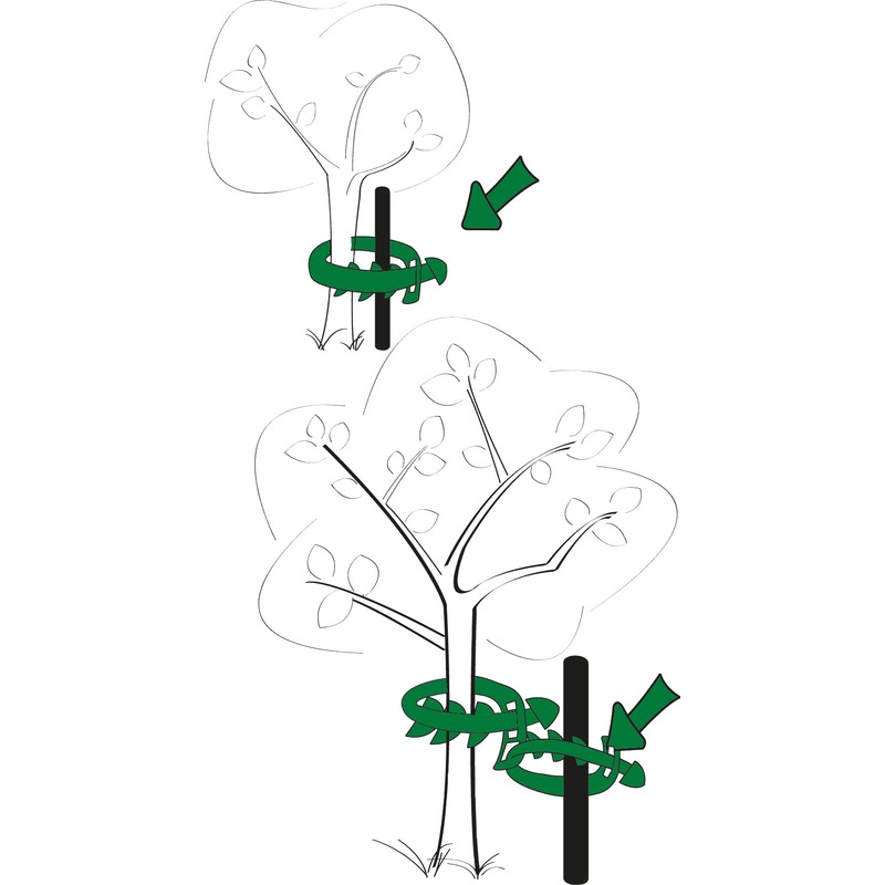 Collier pour plantes et arbustes Cap Vert - Longueur 26 cm - Vendu par 2 - CAPVERT