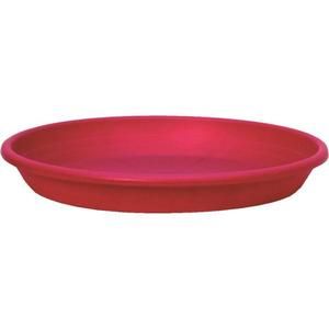 CILINDRO Soucoupe ?22 framboise