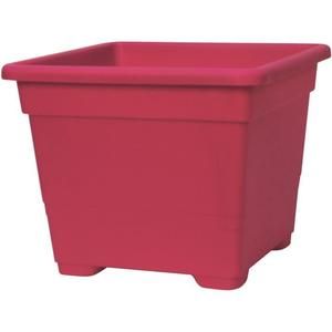 QUADRATO Pot 54x54 framboise 75 L