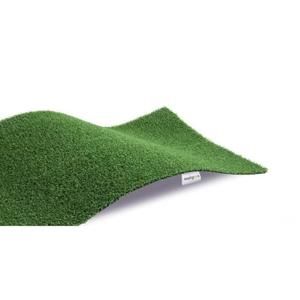 EXELGREEN Gazon synthétique Prems G 5326 - 2x5m