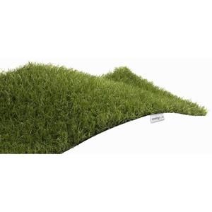 EXELGREEN Gazon synthétique Supertouch GB 3820 - 20 mm - Bobinot de 2x10 m