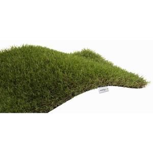 EXELGREEN Gazon synthétique Supertouch BB 51638 - 38 mm - Bobinot de 2x25 m