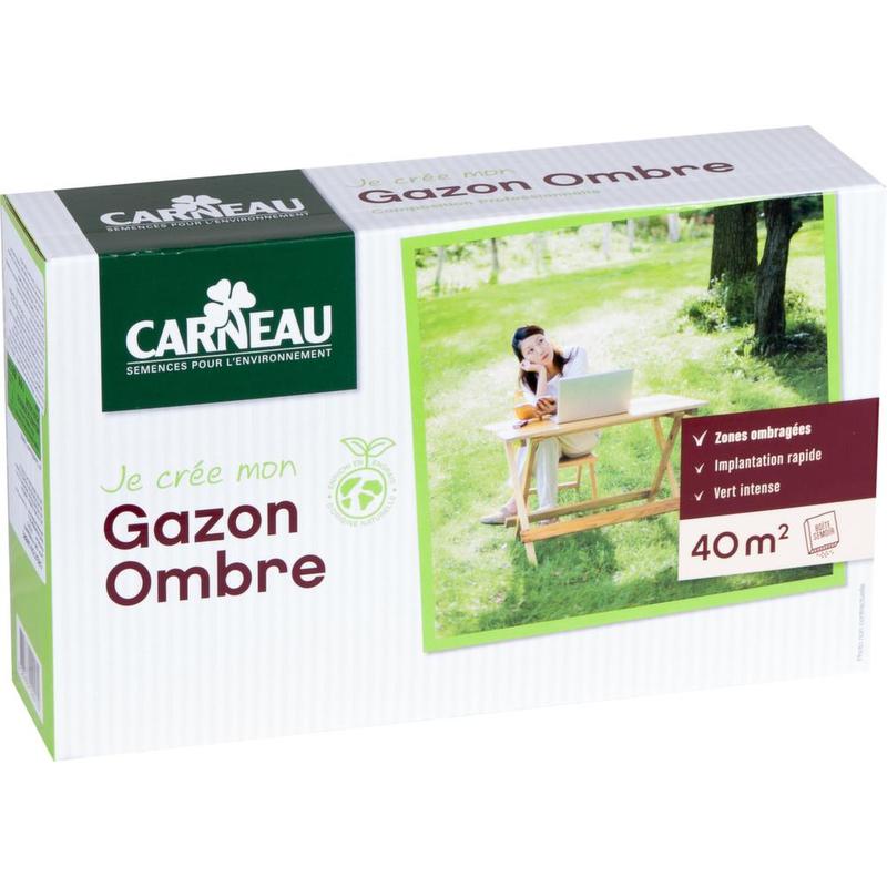 Gazon pour jardin ombragé - - CARNEAU