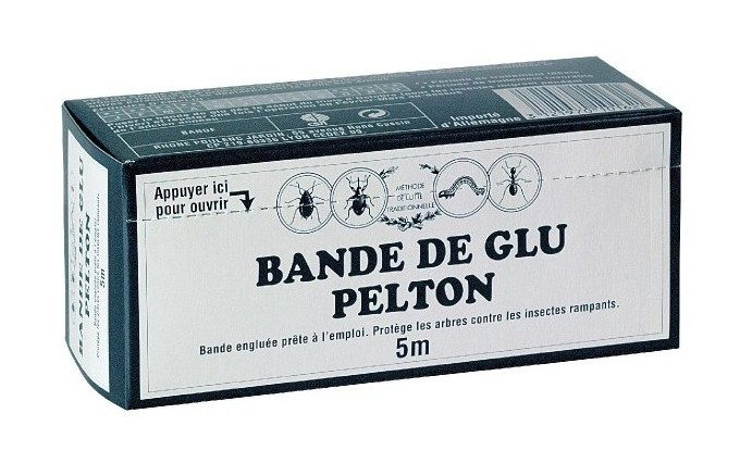 Glu arboricole bande de glu 5 m - SéLECTION BRICO-TRAVO