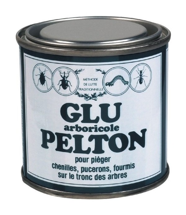 Glu arboricole boîte 150 g - SéLECTION BRICO-TRAVO