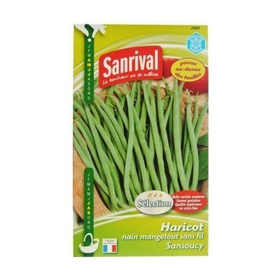 Graines Haricot Sansoucy Mangetout Sans Fil