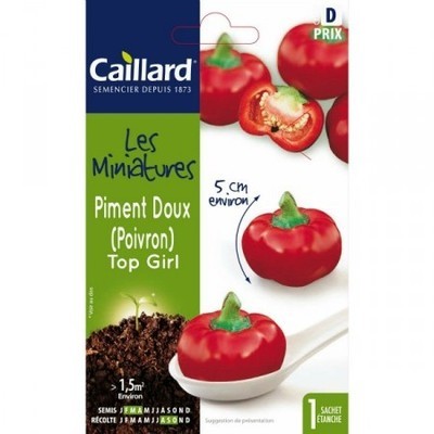 graines mini piment doux