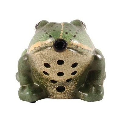 Grenouille Sonore d'accueil