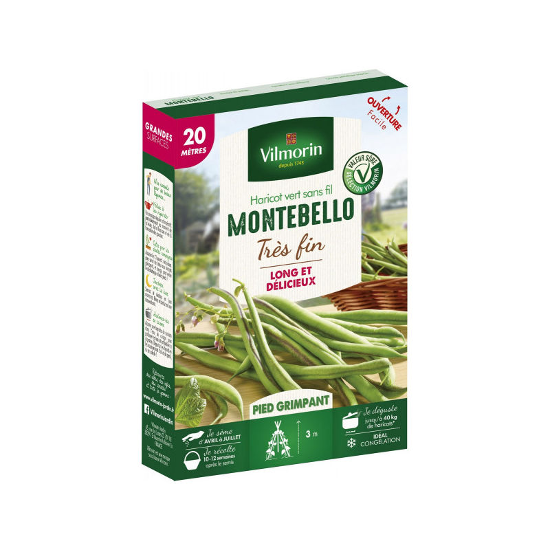 Haricot vert sans fil Montebello très fin - 20 mètres - Vilmorin