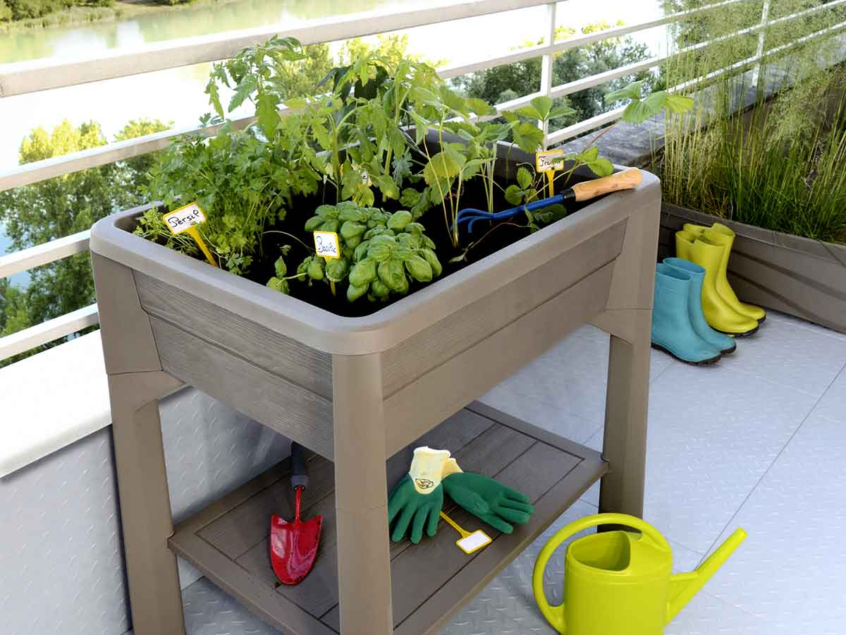 Espace potager Veg et Table sans serre - Taupe