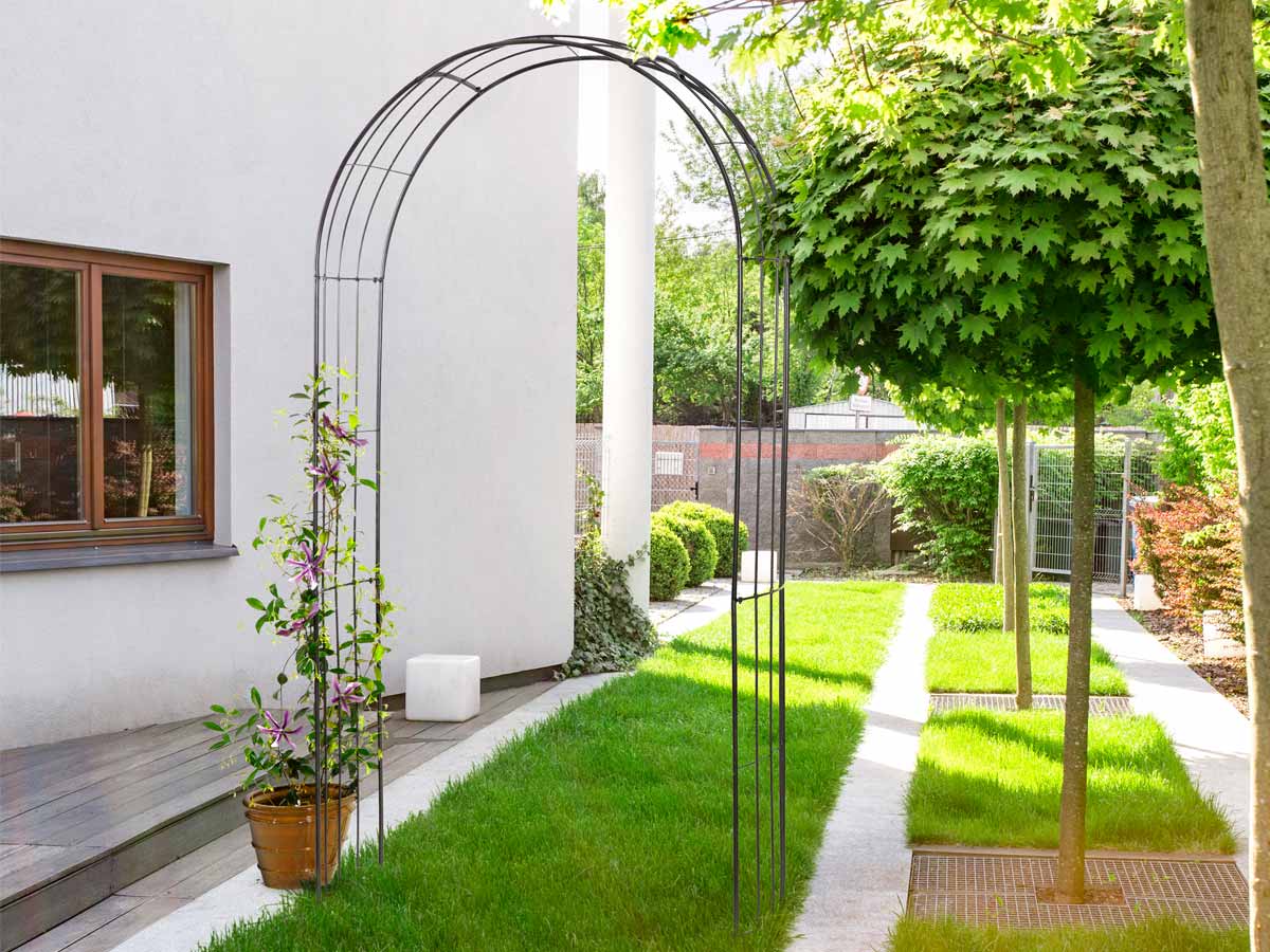 Arche Whisper Arch