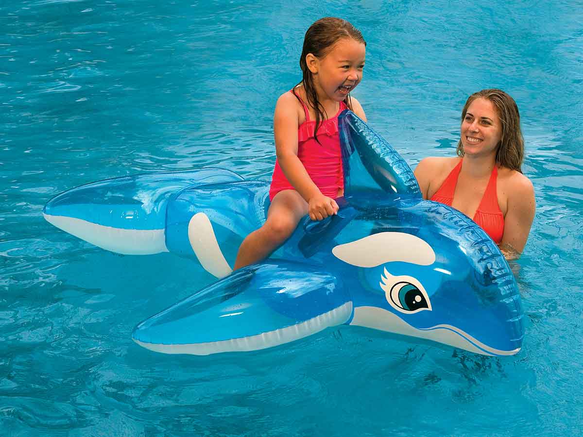 Baleine à chevaucher