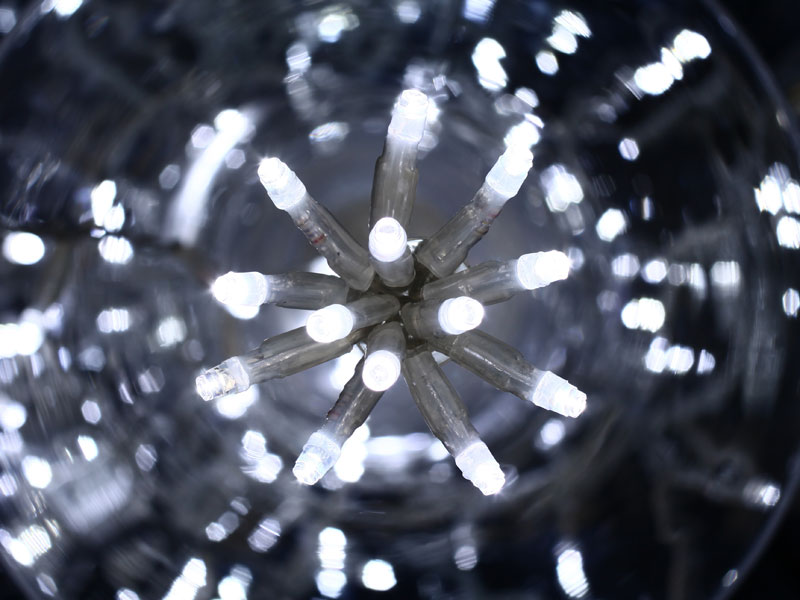 Guirlande Noël intérieur 50 LEDS Clignotante 2.50 m Blanc