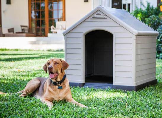 Niche pour chien en résine beige et marron 0,94 m²