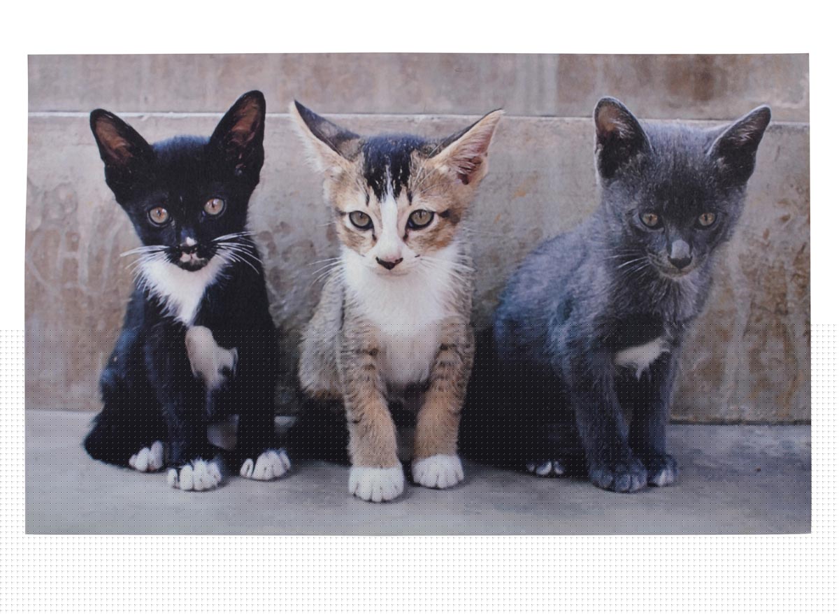Tapis paillasson imprimé chats - 75 x 45 cm