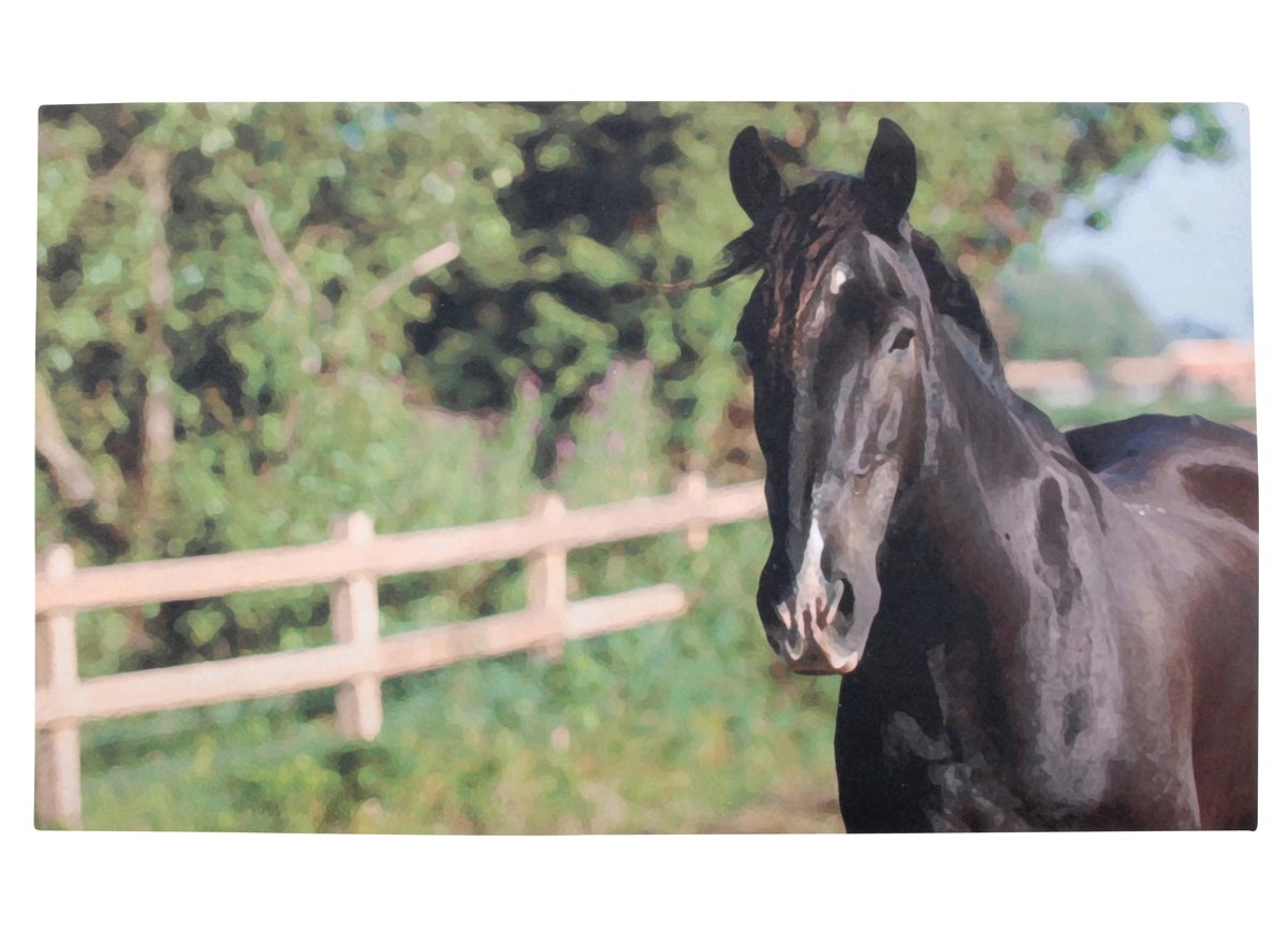 Tapis paillasson imprimé cheval - 75 x 45 cm