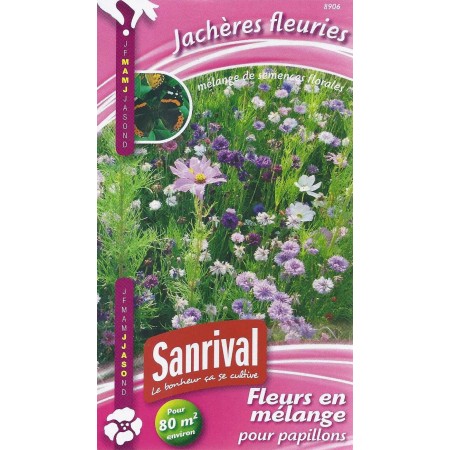 Jachère fleurie pour papillons