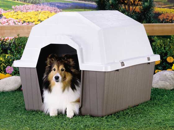 Barn Home Medium