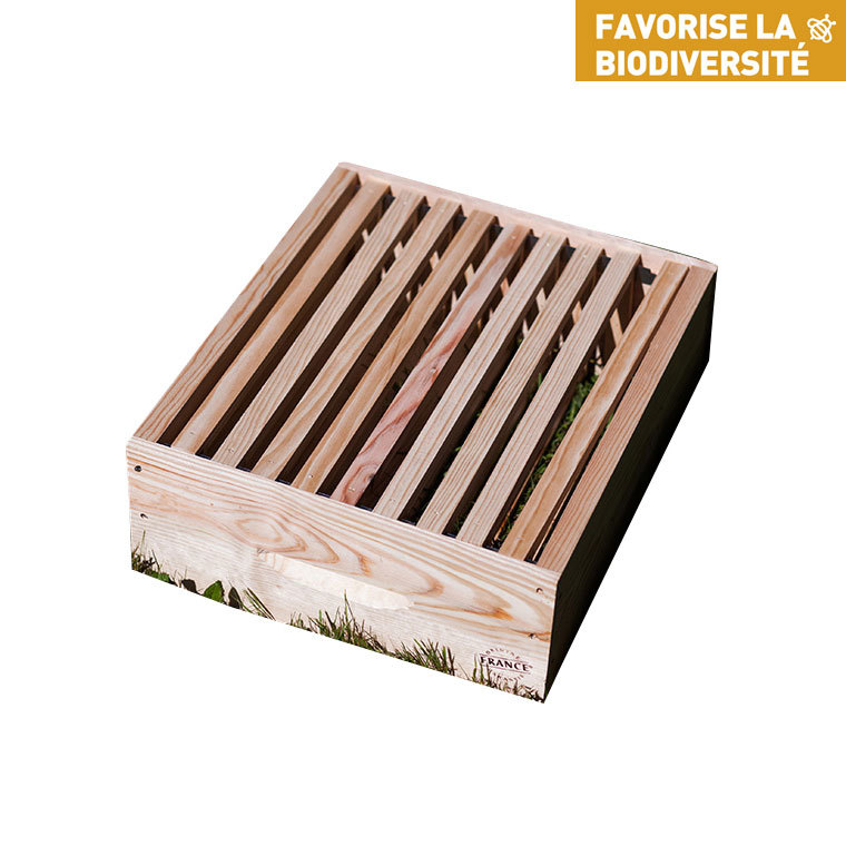 Hausse Dadant avec cadres 50x43x17,5