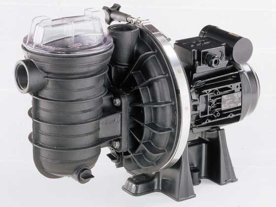 Pompe piscine Sta-rite - 1 cv monophasé