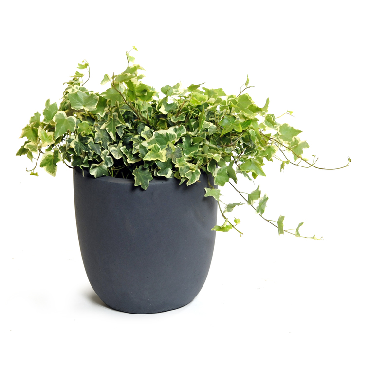 Pot rond GENEVE D.51xH.49 Gris