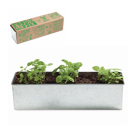 Jardinière Basilic
